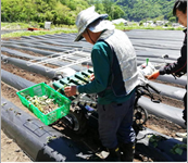 新たに導入した機械を利用する様子写真1