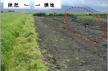 緑肥による表土流亡軽減効果（赤部分で表土流亡発生）写真1