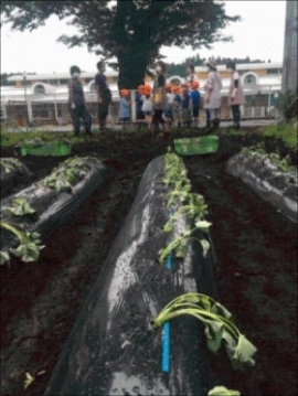 植え方を説明する様子写真