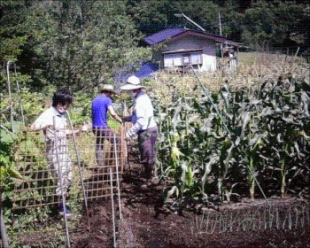 ワイヤーメッシュ設置の様子写真