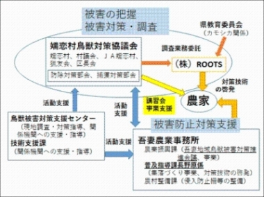 活動体制と支援内容の画像