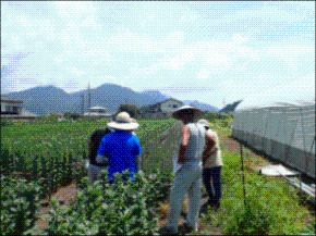 ほ場研修会の写真