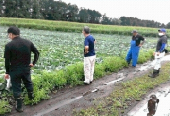 キャベツの生育を確認する参加者と生産者の写真