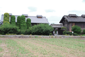 田島亀夫家（屋号：有鄰館）の写真