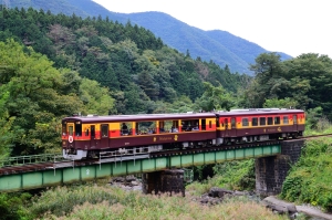 小中川橋梁（小中駅南）とトロッコわっしー号の写真