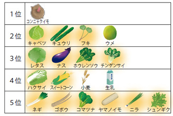 主な県産農産物生産量の全国順位の表画像