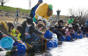 親子でサケの稚魚を放流している写真