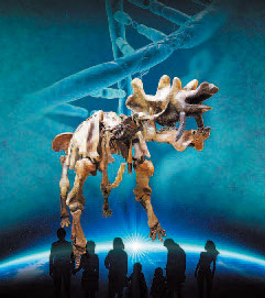 北アメリカにいた恐角目の仲間・ウインタテリウムの画像