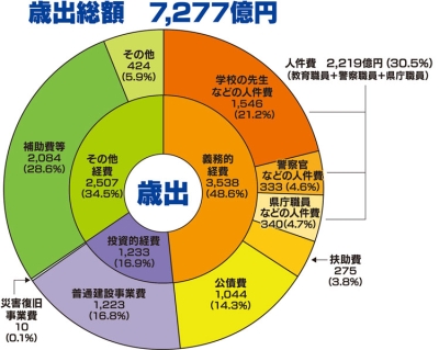 歳出の円グラフ画像