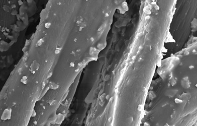 繊維の表面に粒子を付着させた状態の電子顕微鏡写真