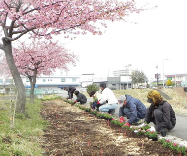 参加団体による花植えの画像