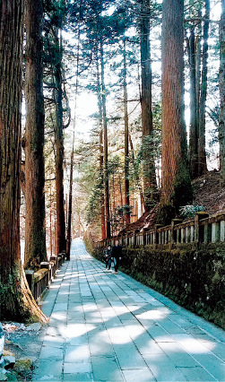 榛名神社参道の写真