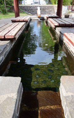 湯原温泉公園の画像