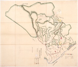 第十九大区十一小区上野国利根郡下川田村字限図の画像