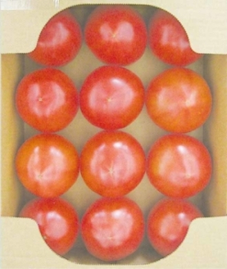 昨年度金賞を受賞したトマトの画像