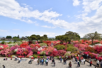 つつじが岡公園（館林市）の画像