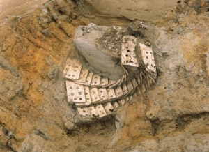 日本初の発見となった鹿角製小札（こざね）の画像