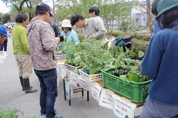 野菜苗の販売の画像