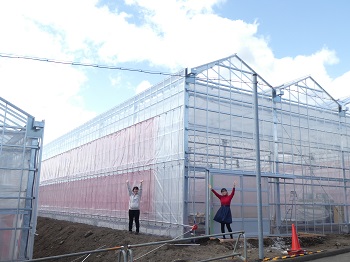フェンロー型軒高5mの温室（外観完成）の画像