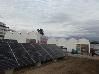 太陽光発電で温室内の電気をまかないますの画像