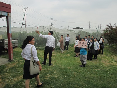 花き・果樹コースの圃場見学の画像