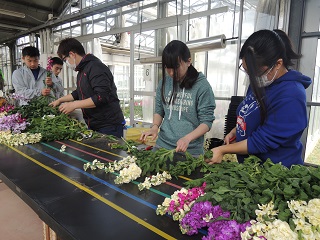 花き・果樹コース イチゴ調整作業花束づくりの画像