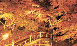 紅葉に染まる湯沢川の画像