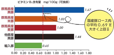 「ビタミンB1含有量ミリグラム/100グラム（可食部）」の画像