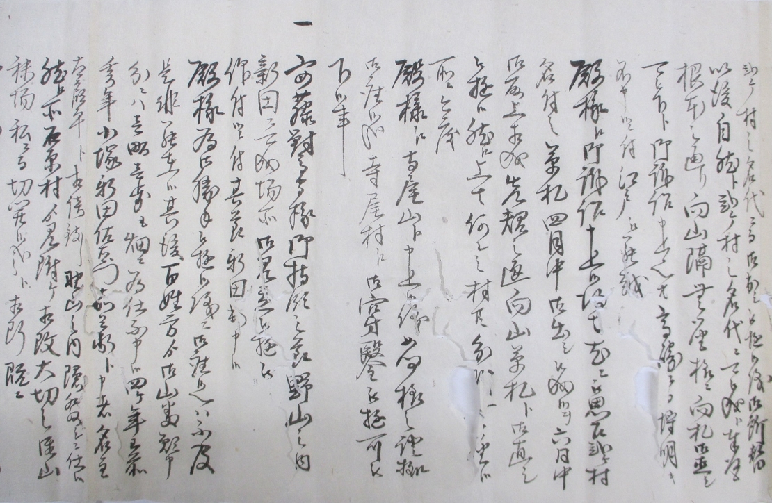 乍恐以書付御訴訟申上候（寺尾山境一件）の画像5