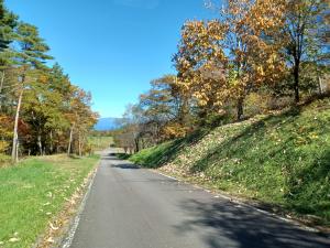 天丸山への道の紅葉の写真
