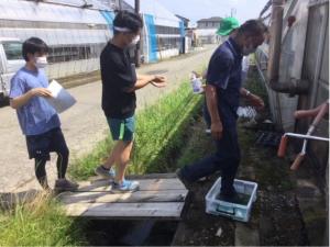 巡回はシクラメンの病害蔓延防止を目的とし靴底と手指消毒をしながら実施した様子の写真