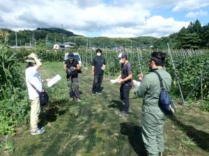 ほ場巡回の様子