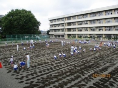 高崎市立中居小学校の南校庭の全景写真
