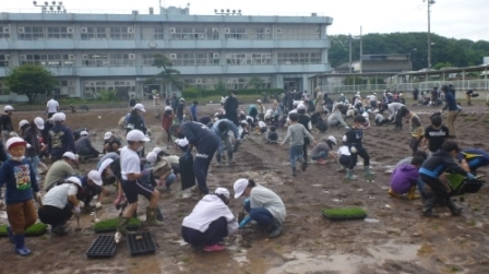 令和4年6月8日の写真