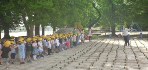 令和4年6月1日の写真