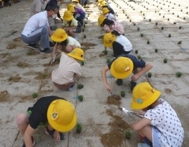 令和4年6月1日の写真