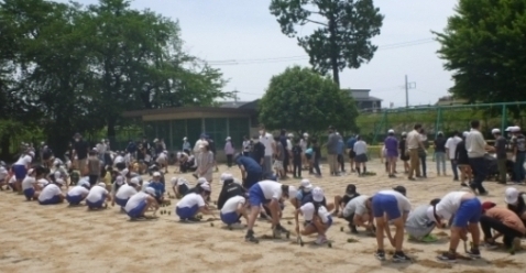 令和4年6月1日の写真