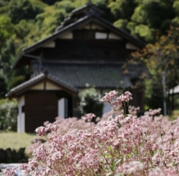 入賞「養蚕の技法を伝えた高山社」の写真