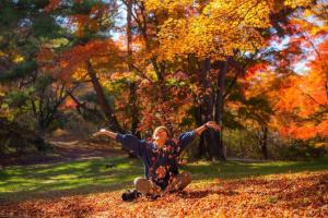 11月の月間MVP作品、上ノ山公園（渋川市）の写真