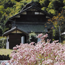 養蚕の技法を伝えた高山社の画像