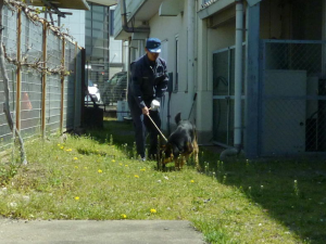 警察犬においをたどっている様子を写した画像