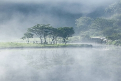 第1位「朝霧の覚満淵」の写真