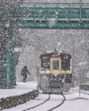 「淡雪のなか」神戸駅の写真