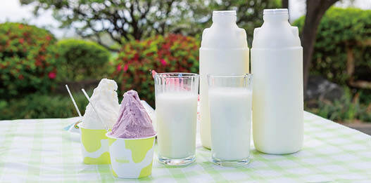 牛乳とその他の乳製品の画像