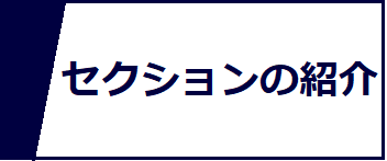 セクションの紹介のアイコン