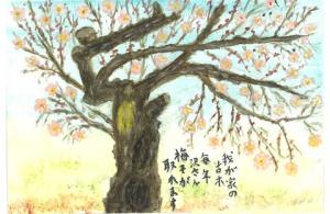 402_百年すぎの梅の木の画像