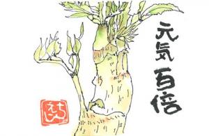 561_ 「うど」天ぷら、からし酢みそあえ、うどのきんぴら、うどは春のおとずれを教えてくれる。の画像