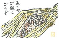 127_畑のお肉とも言われる大豆を日本独自の製法で作りあげた絶品。ご飯にピッタリねばねばが最高です。の画像