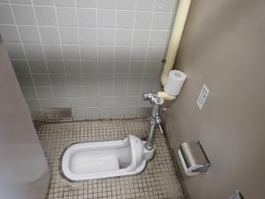 和式トイレの画像