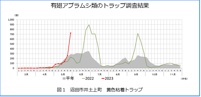 有翅アブラムシ類のトラップ調査結果画像